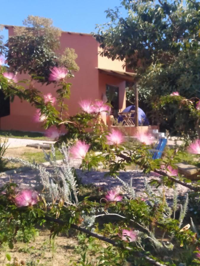 Lobo Guara Hospedagem Loft Alto Paraiso de Goias Luaran gambar